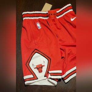The Chicago Bulls Icon Edition Nike NBA Swingman Shorts
